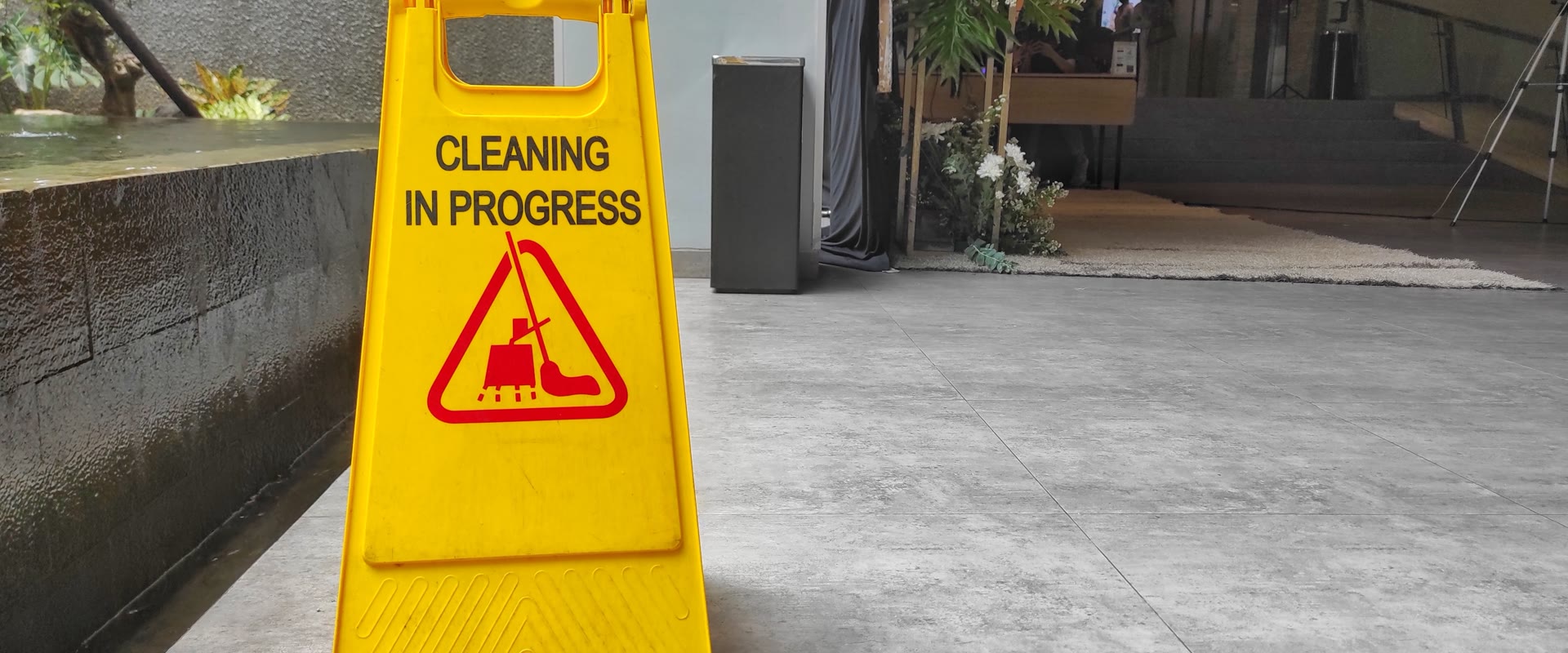 Professional cleaning services